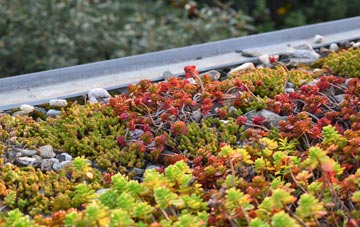 the cost of Ansley Common green roof installation
