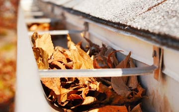 Ansley Common gutter cleaning companies