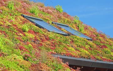 Ansley Common living roof systems