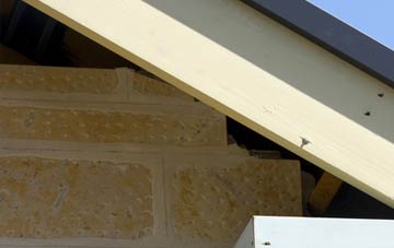 soffit repair Ansley Common