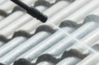 rated Ansley Common roof cleaning companies